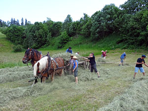 Waldfest Unterschiltach - Heuwagen laden