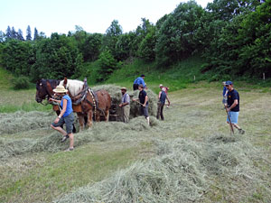Waldfest Unterschiltach - Heuwagen laden