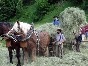 Waldfest Unterschiltach - Heuwagen laden
