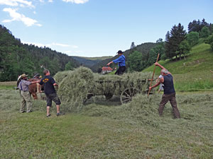 Waldfest Unterschiltach - Heuwagen laden