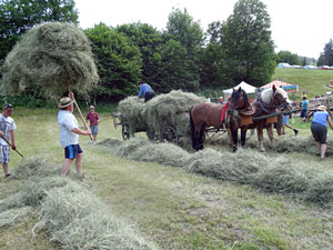Waldfest Unterschiltach - Heuwagen laden