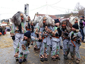 25 Jahre Wurzelhexen - Der Umzug