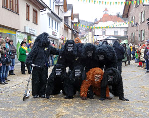25 Jahre Wurzelhexen - Der Umzug