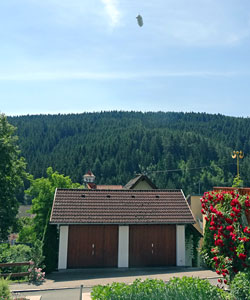 Zeppelin über Tennenbronn