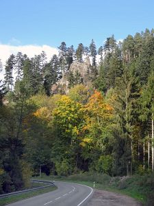 Goldener Herbst in der Berneck