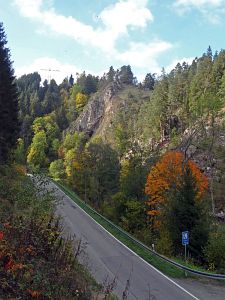Goldener Herbst in der Berneck
