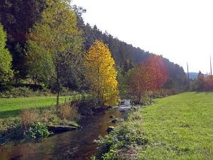 Goldener Herbst in der Berneck