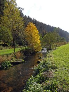 Goldener Herbst in der Berneck