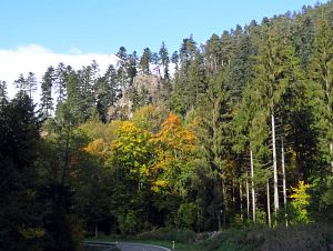 Goldener Herbst in der Berneck