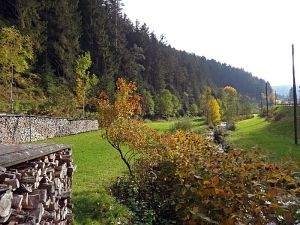 Goldener Herbst in der Berneck
