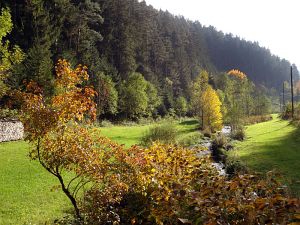 Goldener Herbst in der Berneck