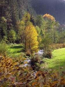 Goldener Herbst in der Berneck