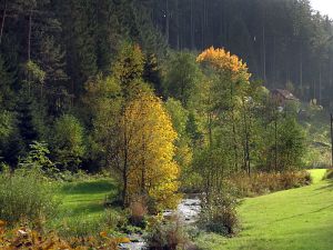 Goldener Herbst in der Berneck