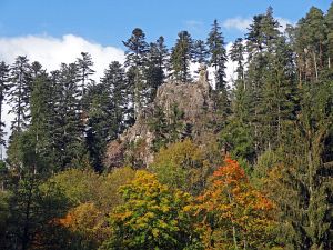 Goldener Herbst in der Berneck