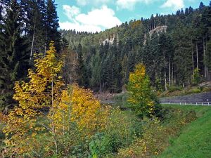 Goldener Herbst in der Berneck