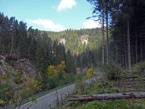 Goldener Herbst in der Berneck