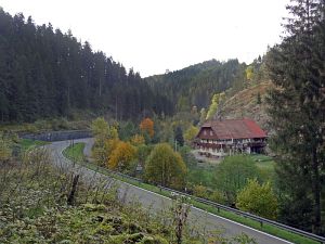 Goldener Herbst in der Berneck