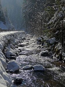 Winter in der Berneck