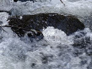 Winter in der Berneck