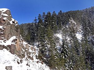 Winter in der Berneck