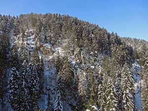 Winter in der Berneck