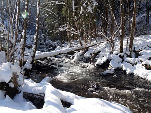 Winter in der Berneck