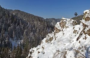 Winter in der Berneck