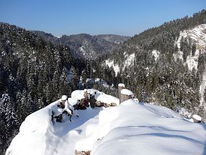 Winter in der Berneck