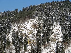 Winter in der Berneck