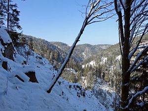 Winter in der Berneck