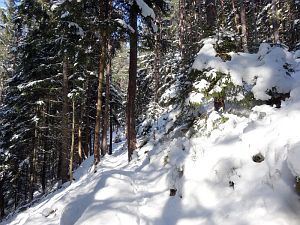 Winter in der Berneck