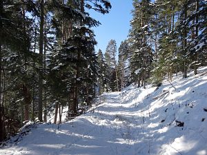 Winter in der Berneck