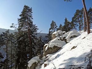 Winter in der Berneck