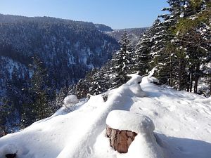 Winter in der Berneck