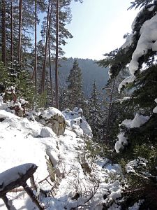 Winter in der Berneck