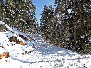 Winter in der Berneck