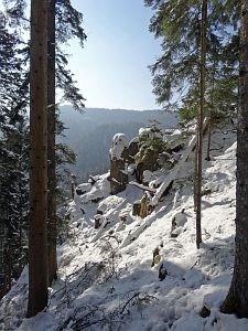 Winter in der Berneck