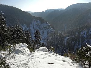 Winter in der Berneck
