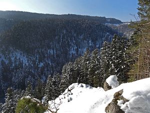 Winter in der Berneck