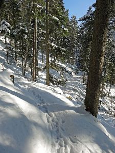 Winter in der Berneck