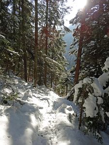 Winter in der Berneck