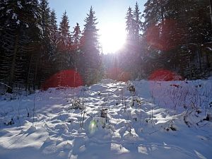Winter in der Berneck