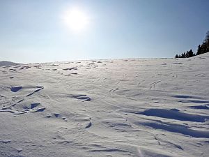 Winter in der Berneck