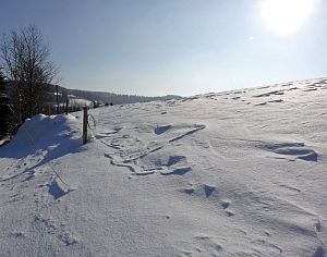 Winter in der Berneck