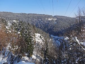Winter in der Berneck