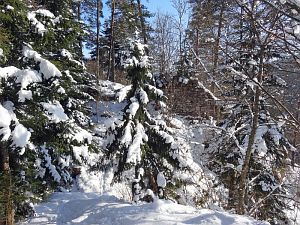 Winter in der Berneck