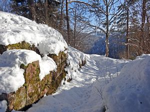 Winter in der Berneck
