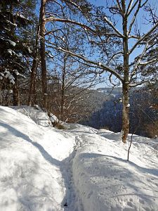 Winter in der Berneck