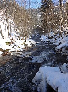 Winter in der Berneck