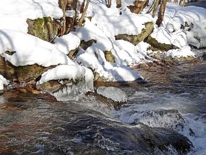 Winter in der Berneck